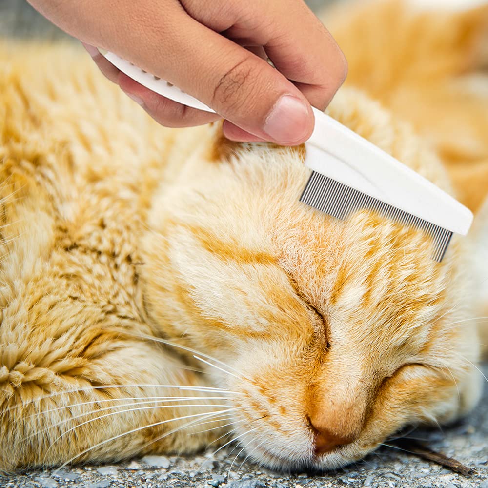 Multifunctional Pet Comb Tear Stain Removal Comb Magic Pets Grooming Comb Kit For Small Dogs Puppies Pet Grooming Brush Fine-Tooth Stainless Grooming Massage Comb
