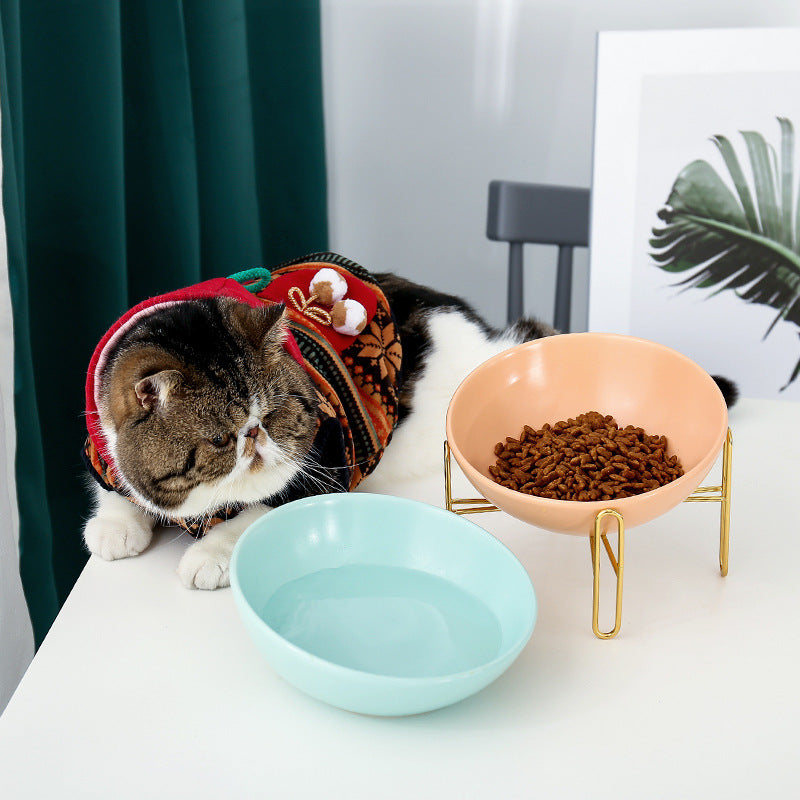 Pet bowl with stand