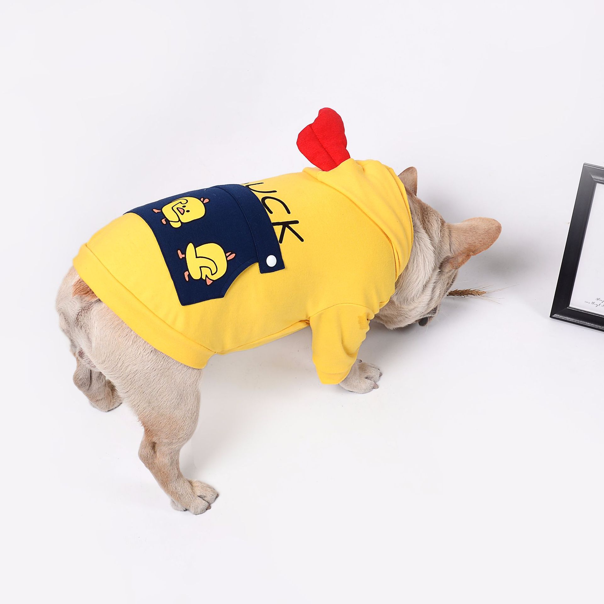 Pet dog clothing