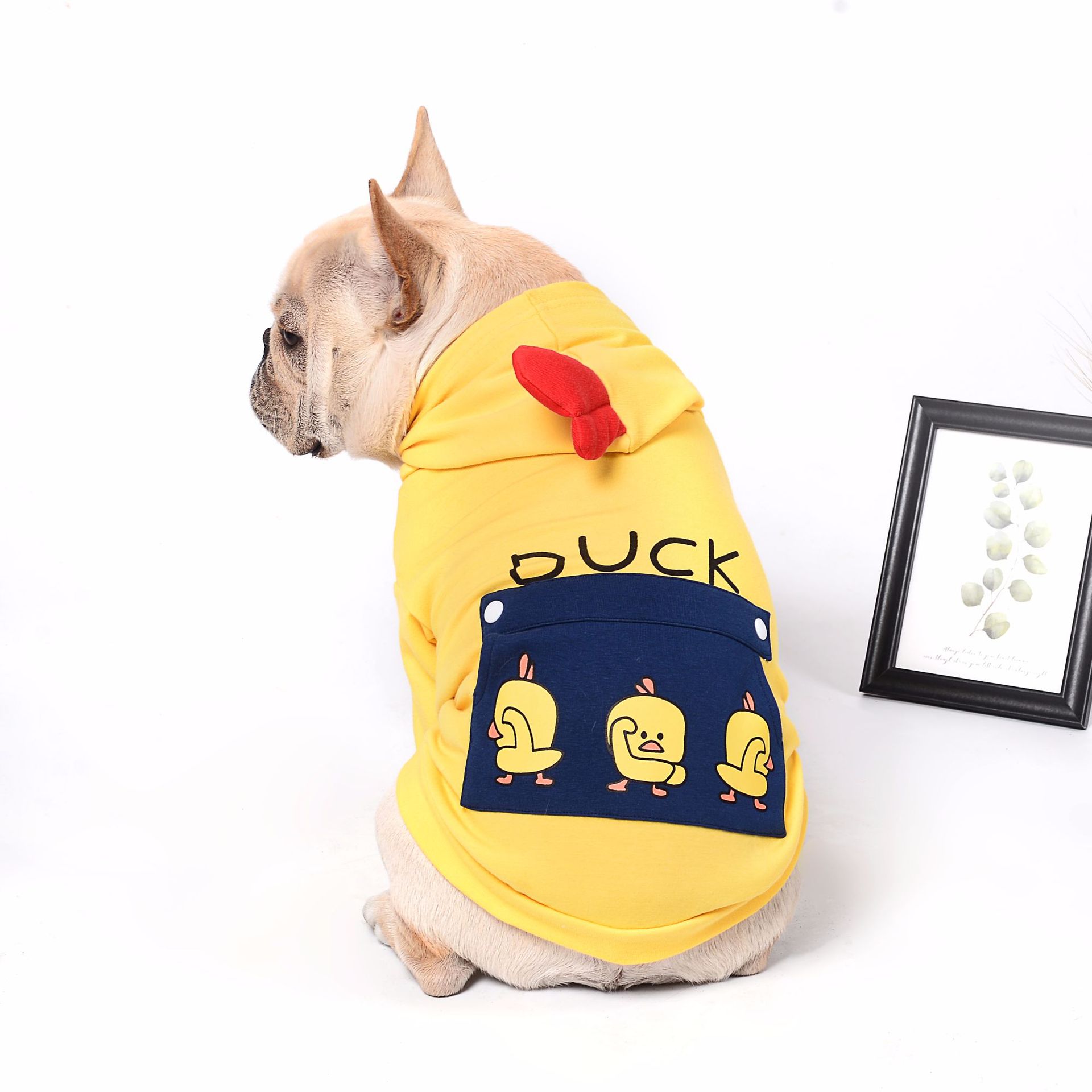 Pet dog clothing