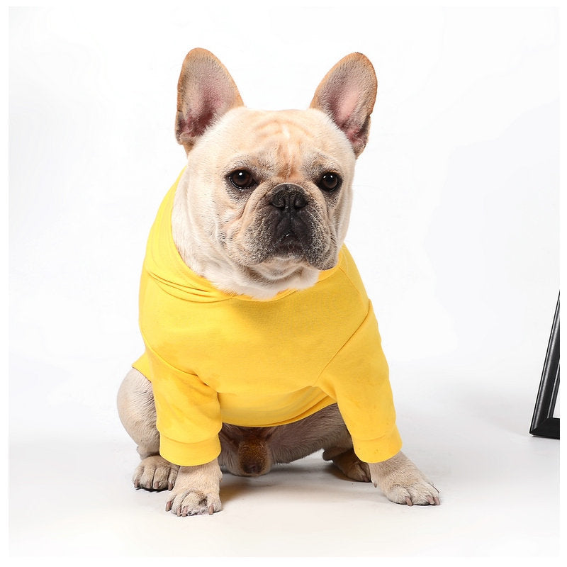 Pet dog clothing