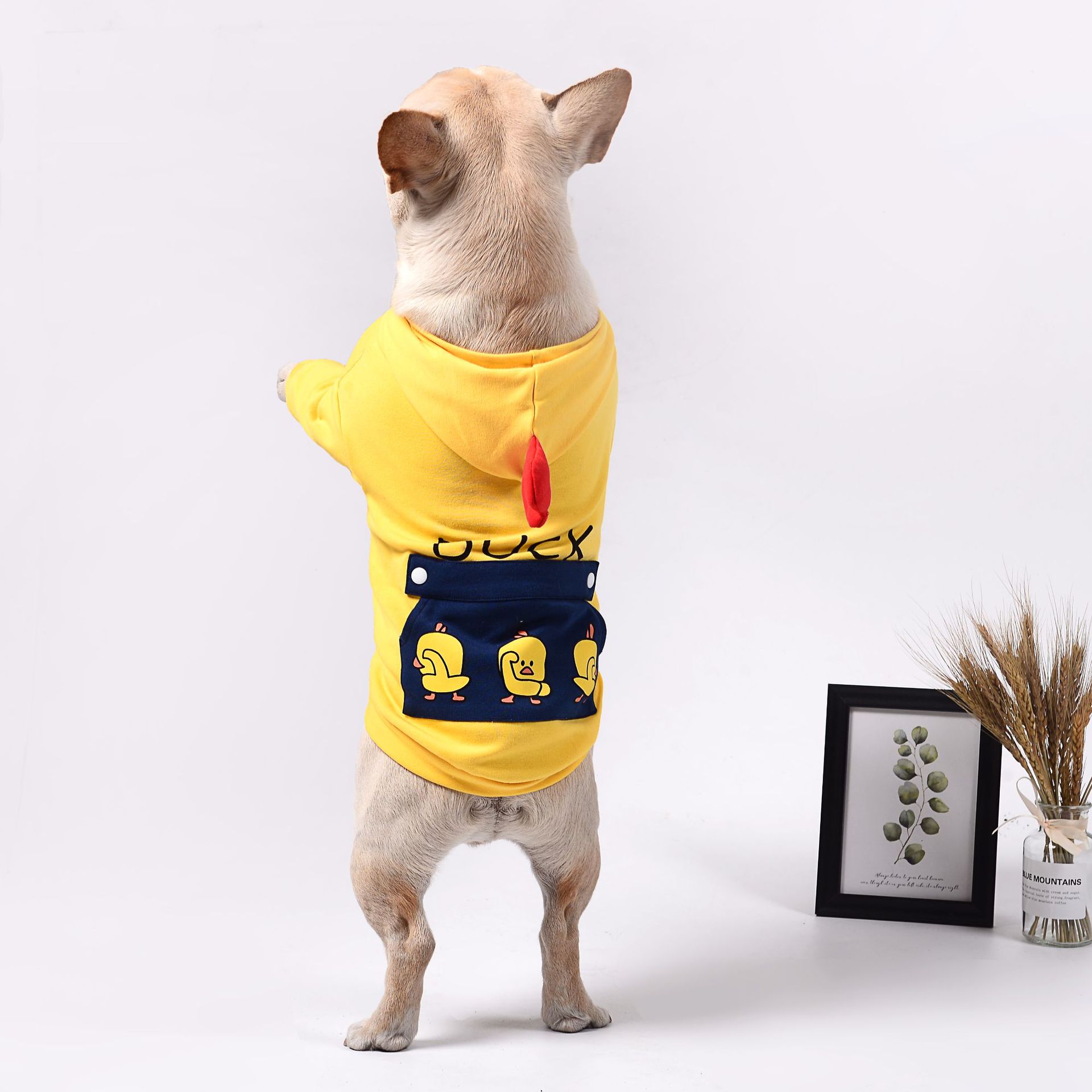 Pet dog clothing