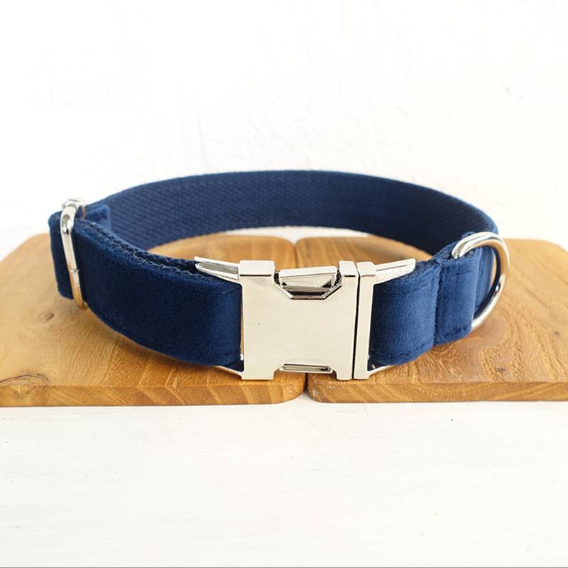 Bow pet collar small and large traction collar dog chain