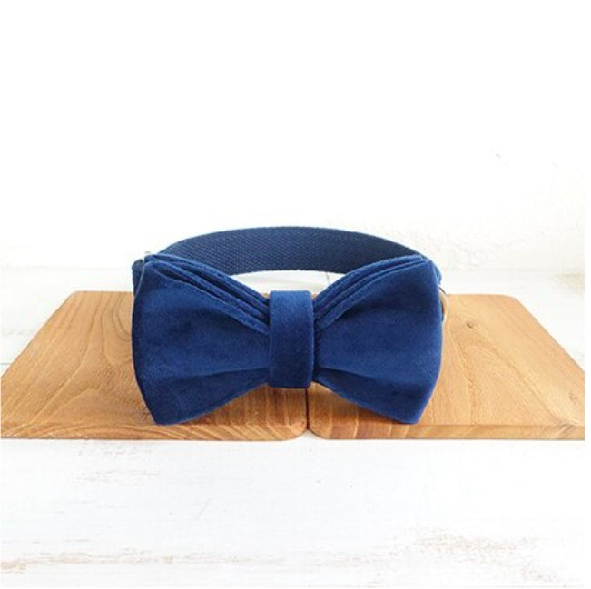 Bow pet collar small and large traction collar dog chain